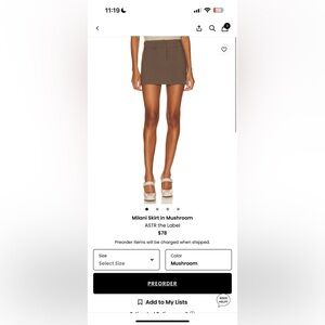 ASTR Milano Skirt in mushroom